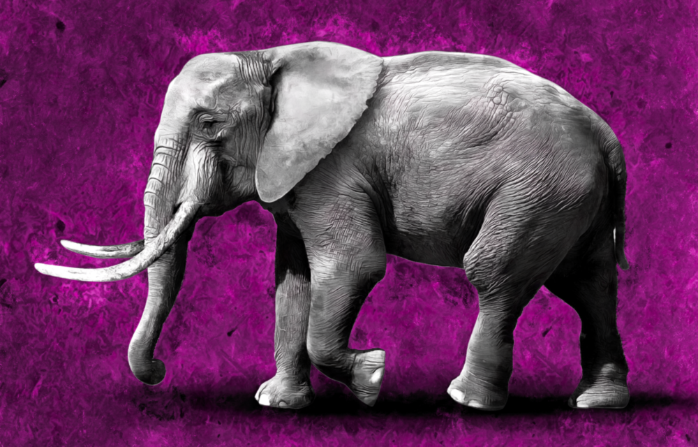 Arte de pared de vidrio de Elefante