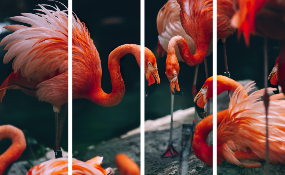 Flamingos Art mural en verre Mega 4 pièces (150x92 cm)