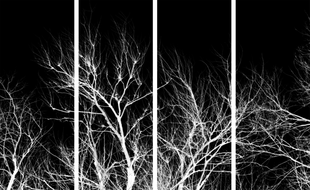 Arbres nocturnes Art mural en verre Mega 4 pièces (150x92 cm)