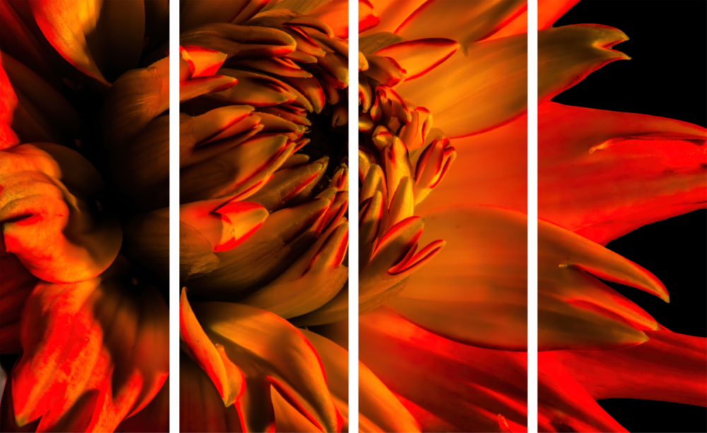 Gerbera Daisy Arte da parete in vetro Mega da 4 pezzi (150x92 cm)