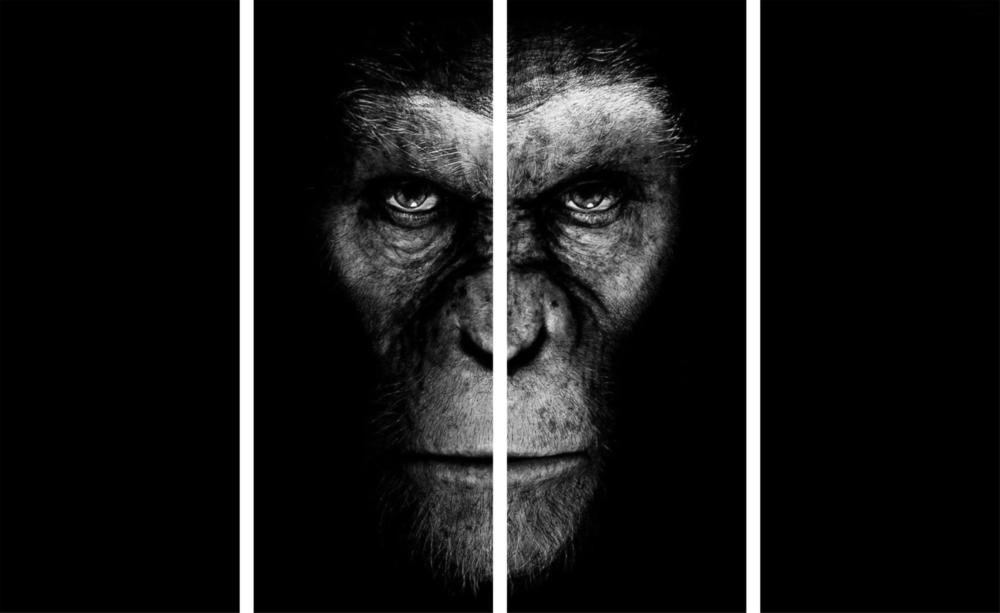 Rise of Apes 4 Pieces Mega Glass Wall Art (150x92 cm)