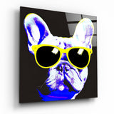 Quadro in vetro Cool Dog || Collezione Designer - 40x40 cm