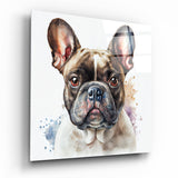 Glasbild Cute Dog || Designer-Kollektion - 40x40 cm