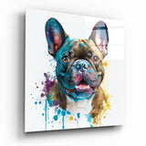 Quadro in vetro Cute Dog || Collezione Designer - 40x40 cm