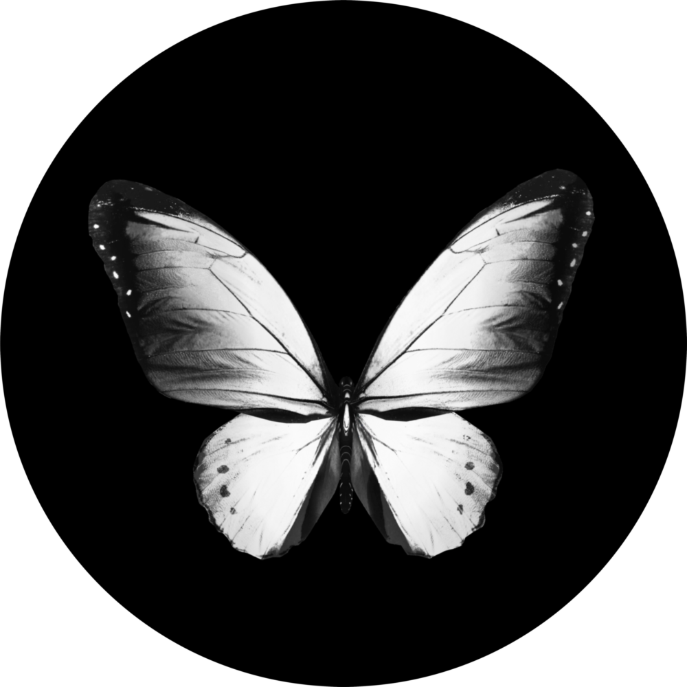 Schmetterling Glasbild