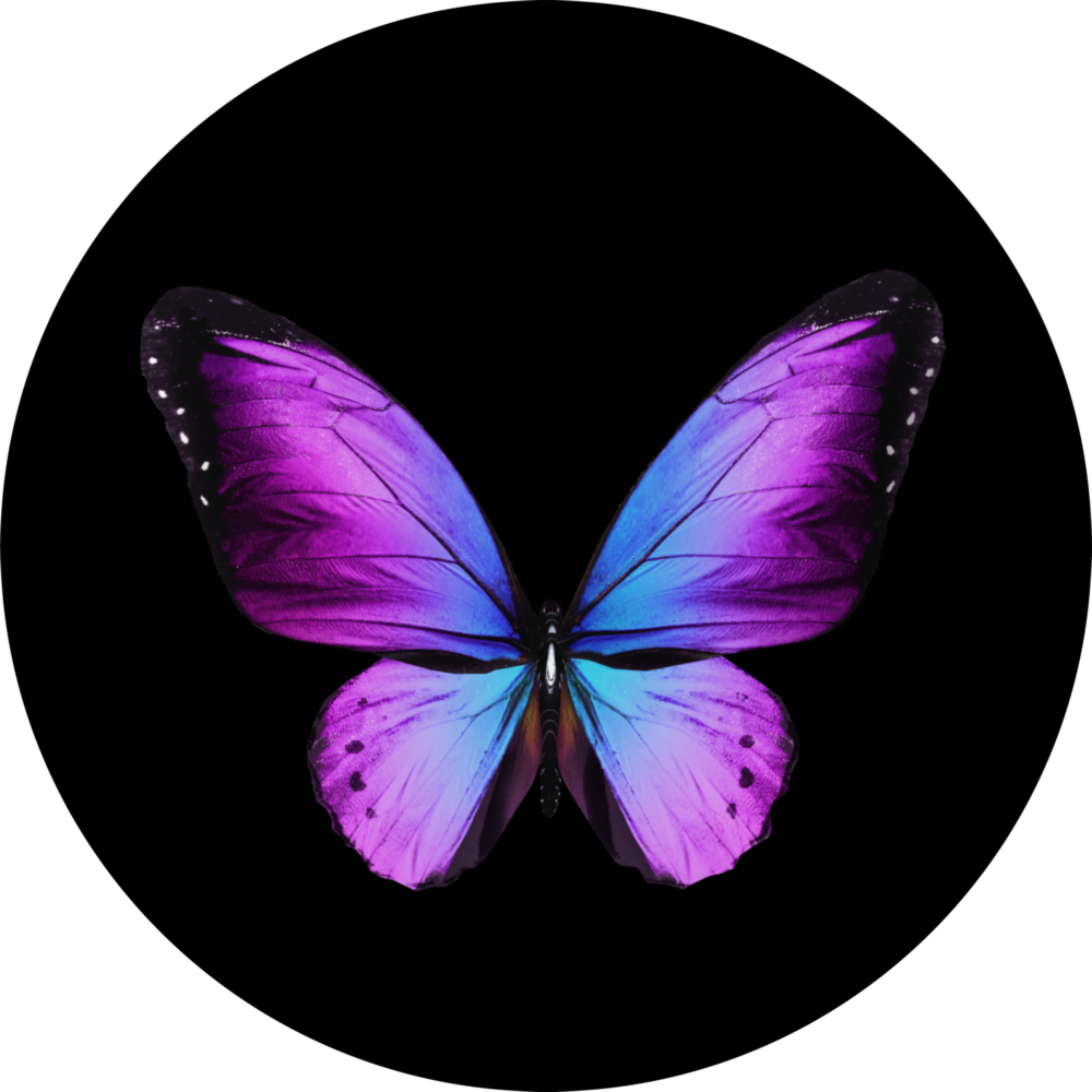 Papillon Impression sur verre