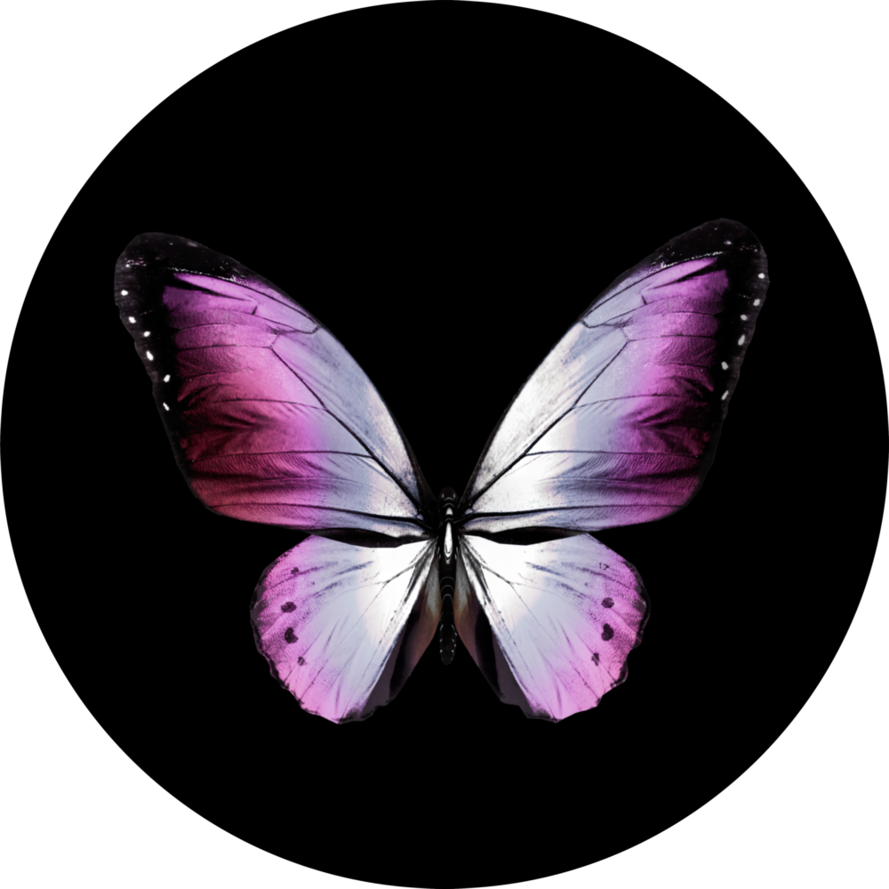 Papillon Impression sur verre