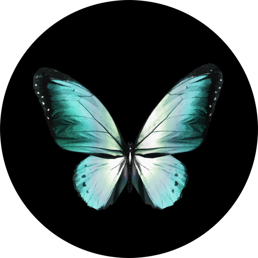 Arte della parete di vetro La farfalla