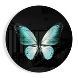Türkiser Schmetterling auf Schwarz Glasbild - 60x60 cm