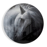 Caballo Blanco Inclinado Círculo cuadro de cristal - 60x60 cm