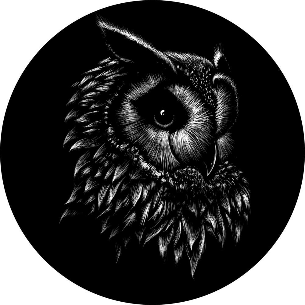 Arte della parete di vetro Gufo