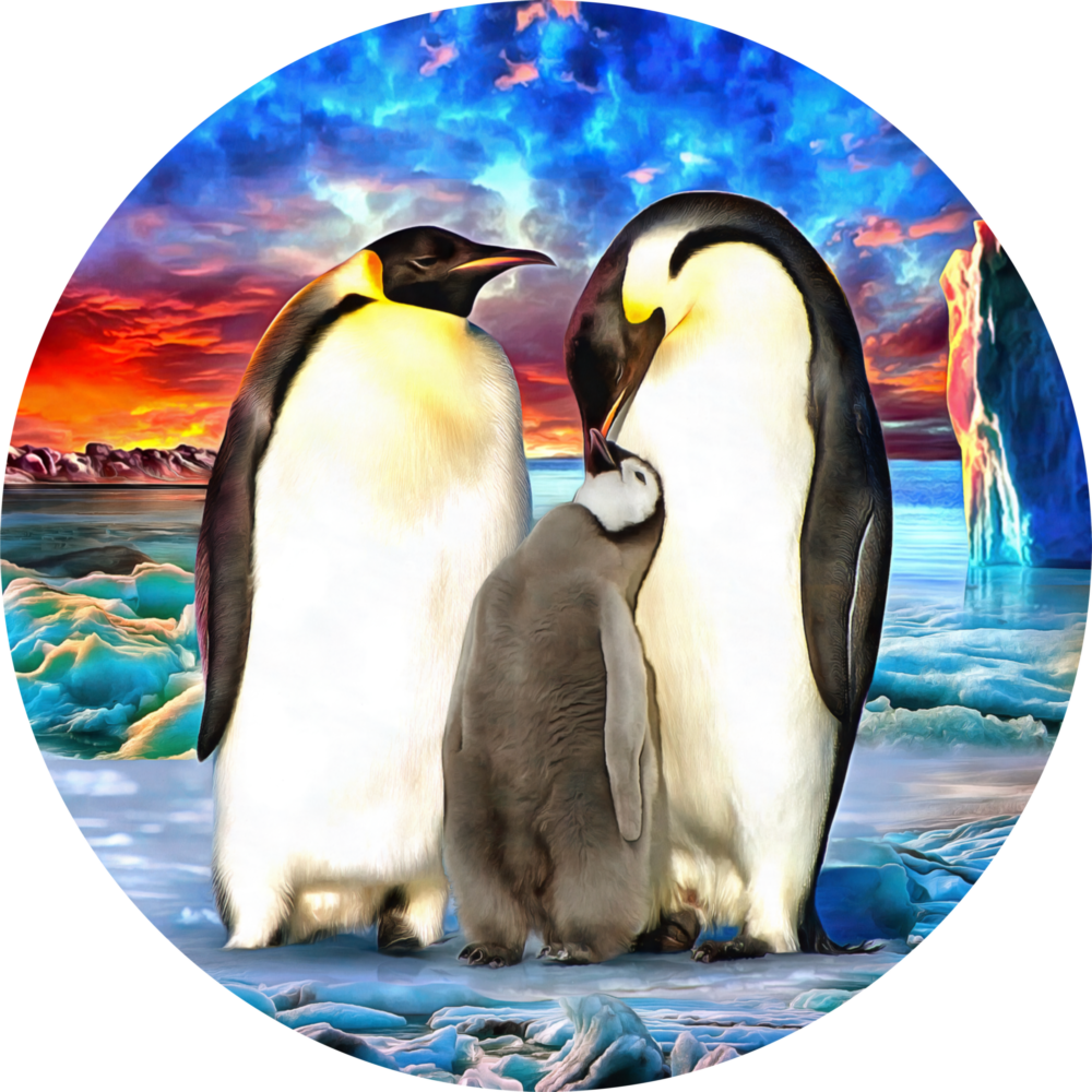 Famille des pingouins Impression sur verre
