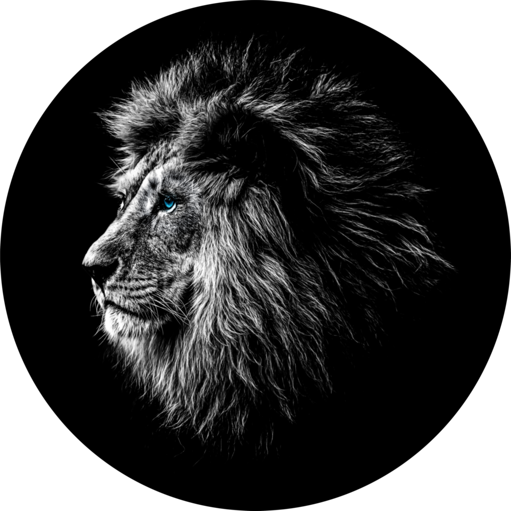 Arte della parete di vetro Leone