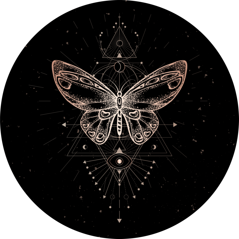 Schmetterling Glasbild