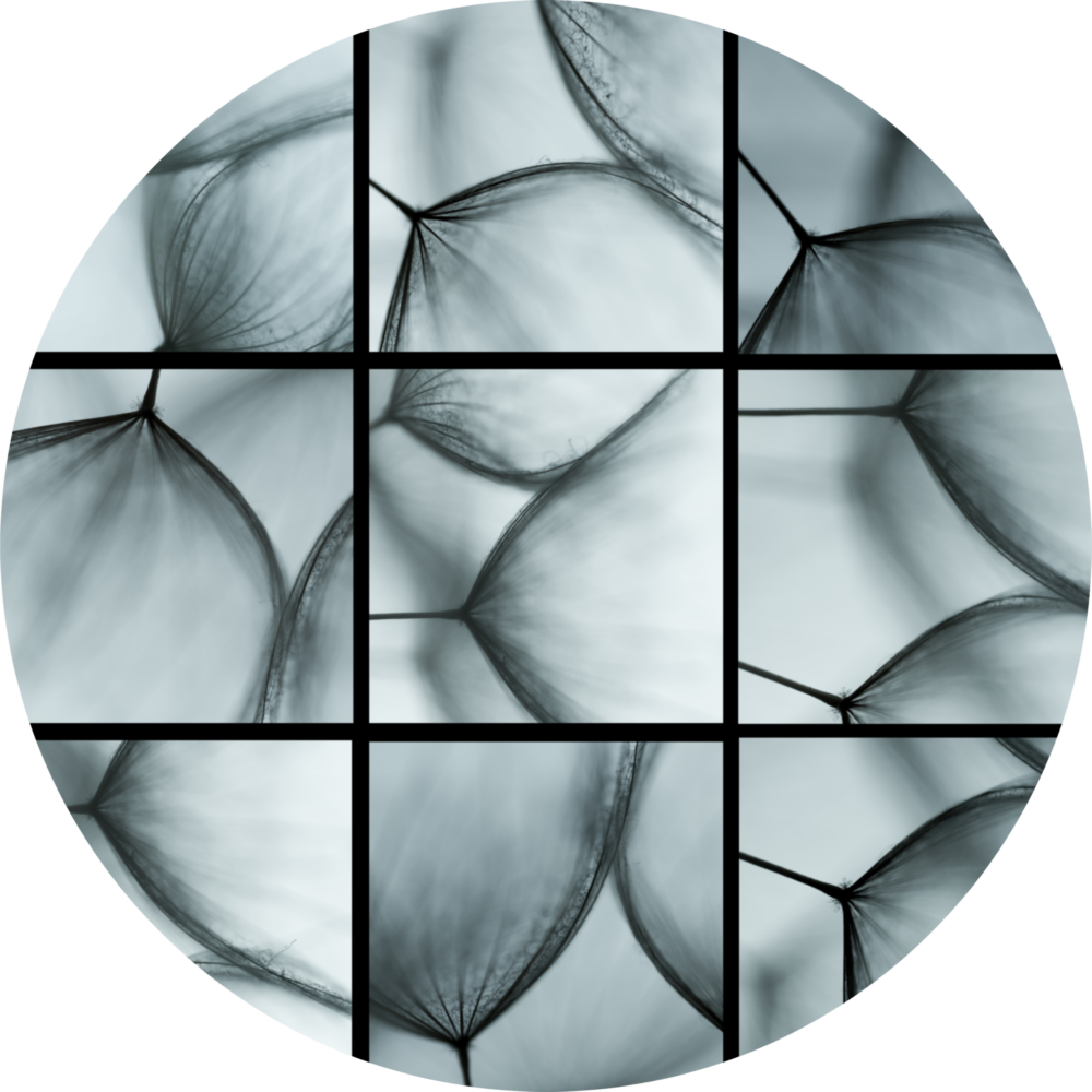 Dandelion Glass Wall Art