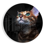Chat du Bengale aux Yeux Verts tableau en verre rond - 60x60 cm