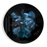 Pez Betta Azul de Aletas Fluidas cuadro de cristal - 60x60 cm