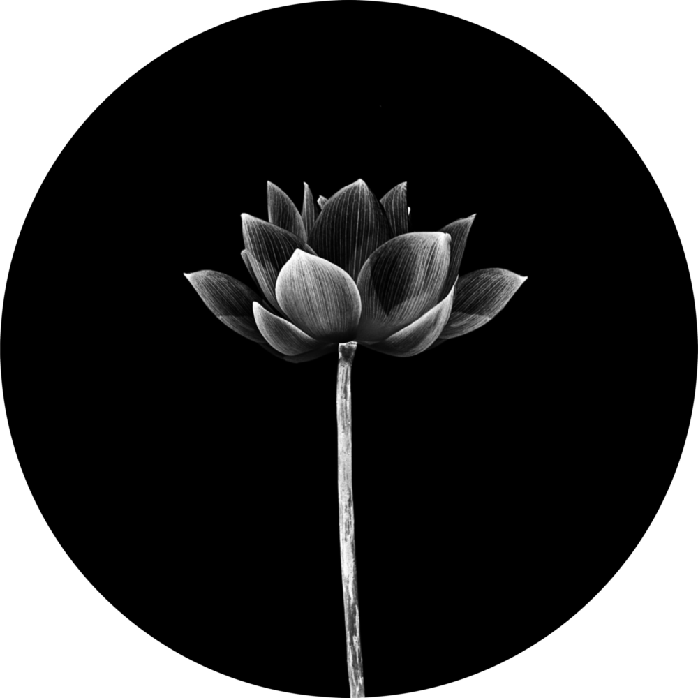 Arte della parete di vetro Fiore