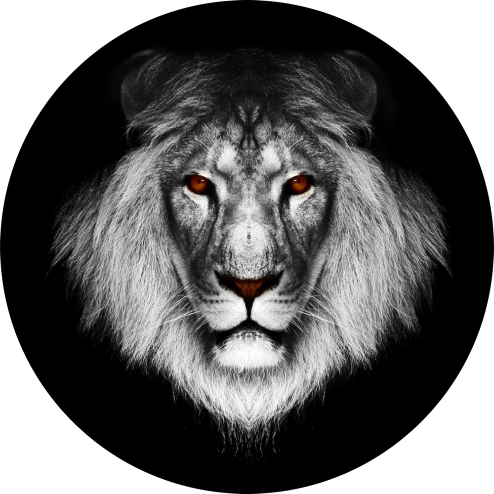 Lion Impression sur verre