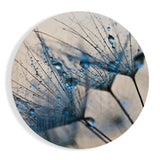 Blaue Tautropfen Löwenzahn Makro Glasbild - 60x60 cm