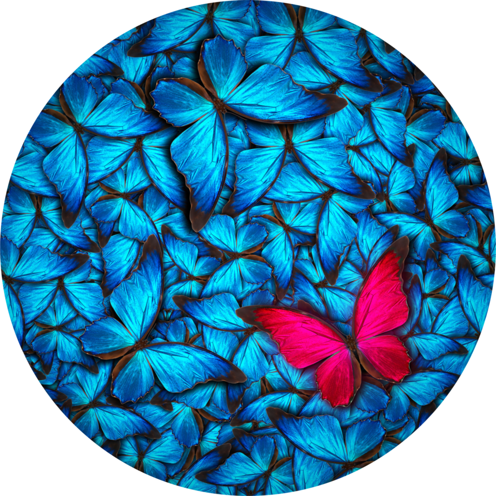Le rêve de Butterfly Impression sur verre