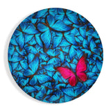 Tableau en verre Le rêve du papillon - 60x60 cm