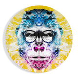 Quadro in vetro Gorilla filosofo - 60x60 cm