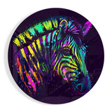 Runde Regenbogen-Zebra-Farbtropfen Glasbild - 60x60 cm