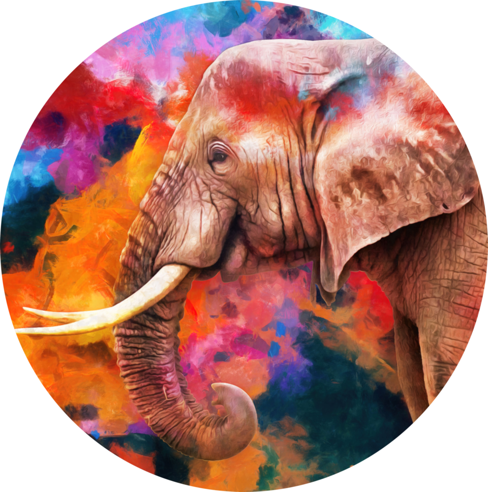 Elefant -Schärpe Glasbild