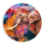 Tableau en verre Écharpe d'éléphant - 60x60 cm