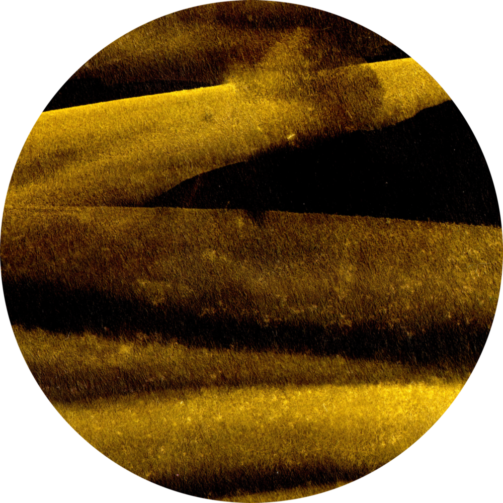 Gelbe Zusammenfassung Glasbild