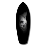 White Cat Half Face Black Background Glass Wall Art.