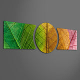 Green Gold Red Leaf Vein Macro 3 Piece Glass Wall Art