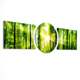 Sunlit Green Forest Canopy 3 Piece Glass Wall Art