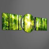 Sunlit Green Forest Canopy 3 Piece Glass Wall Art