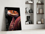 Red Stare Viper Glass Wall Art || Designer Collection