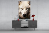 The White Wolf's Gaze Glass Wall Art || Designer Collection