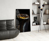 Golden-Eyed Black Snake Glass Wall Art || Designer Collection