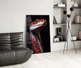 Eyes of the Fiery Serpent Glass Wall Art || Designer Collection