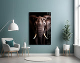 The Wise Look of the Elephant Glass Wall Art || Designer Collection