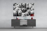 Wolf in Sheep's Clothing Glass Wall Art || Designer Collection
