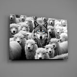 Wolf in Sheep's Clothing Glass Wall Art || Designer Collection