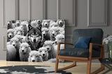 Wolf in Sheep's Clothing Glass Wall Art || Designer Collection