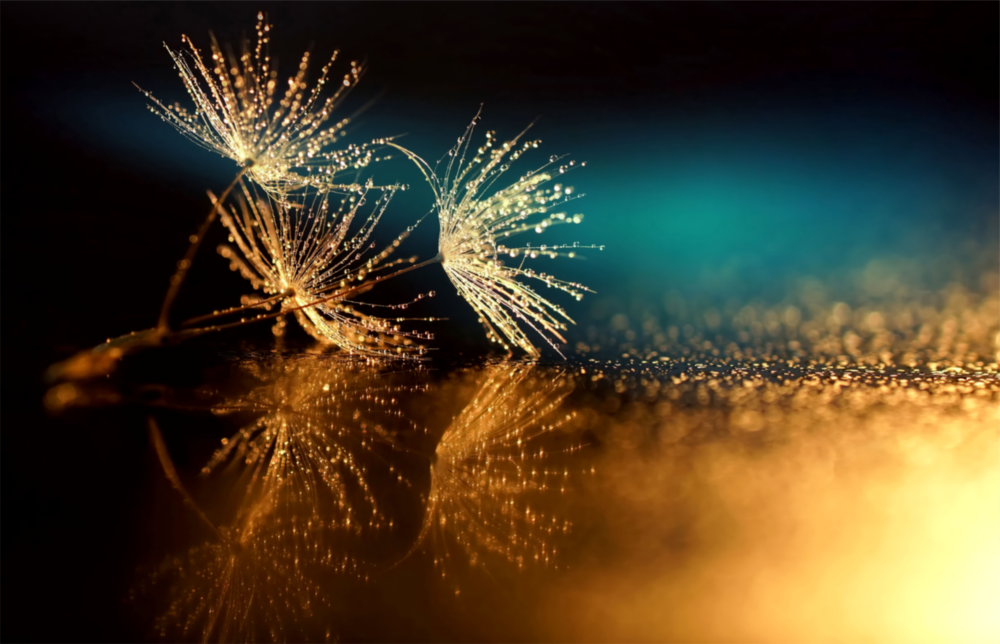 Gold Dust Glass Wall Art