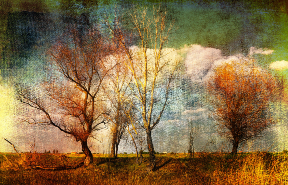 Autumn Trees Glass Wall Art