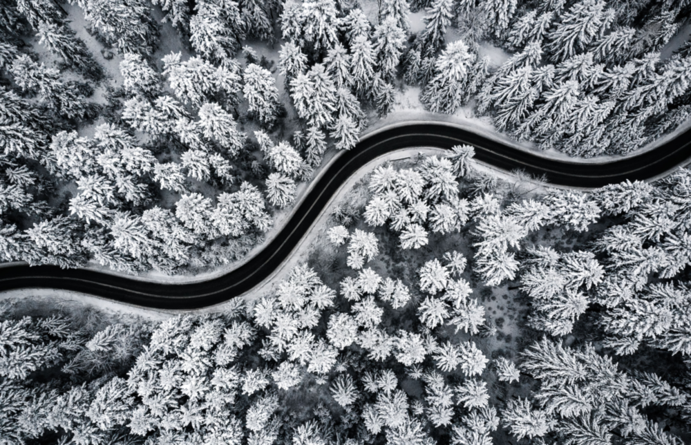 Forest Landscape Glass Wall Art