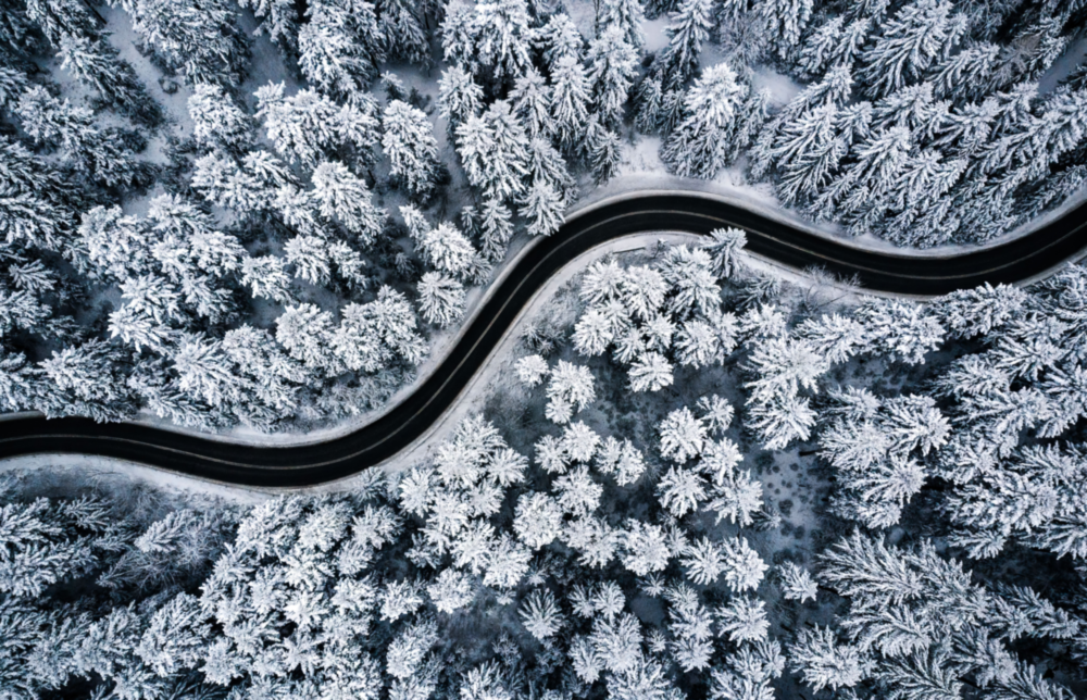 Forest Landscape Glass Wall Art