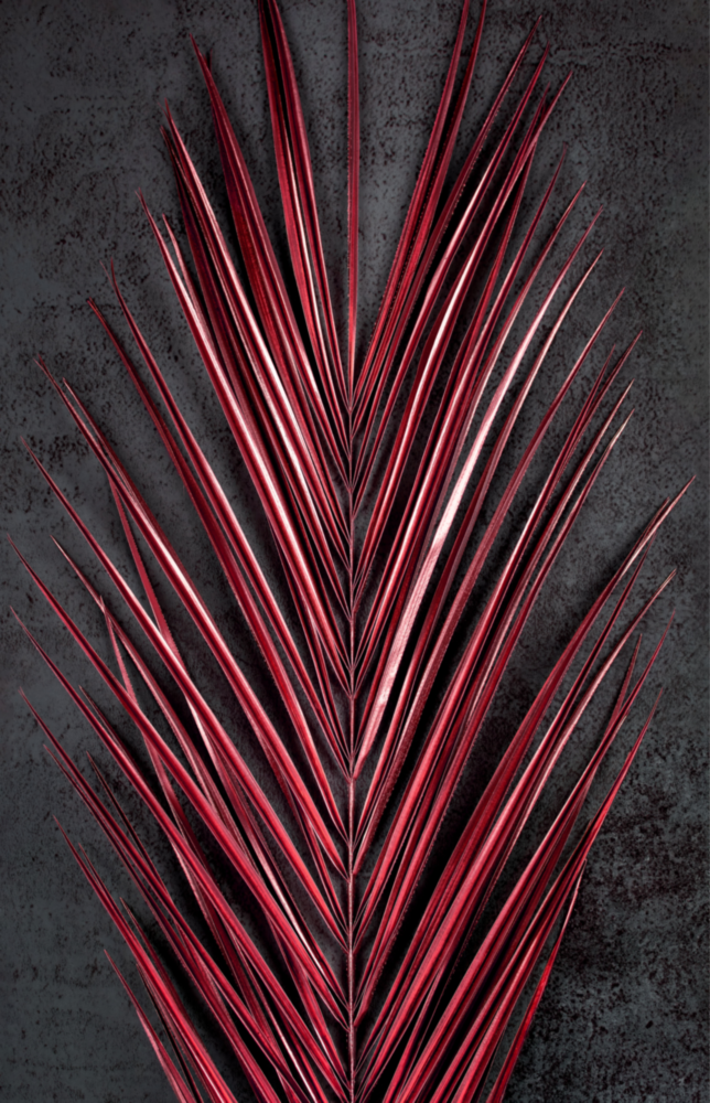 Areca Bunch Glass Wall Art