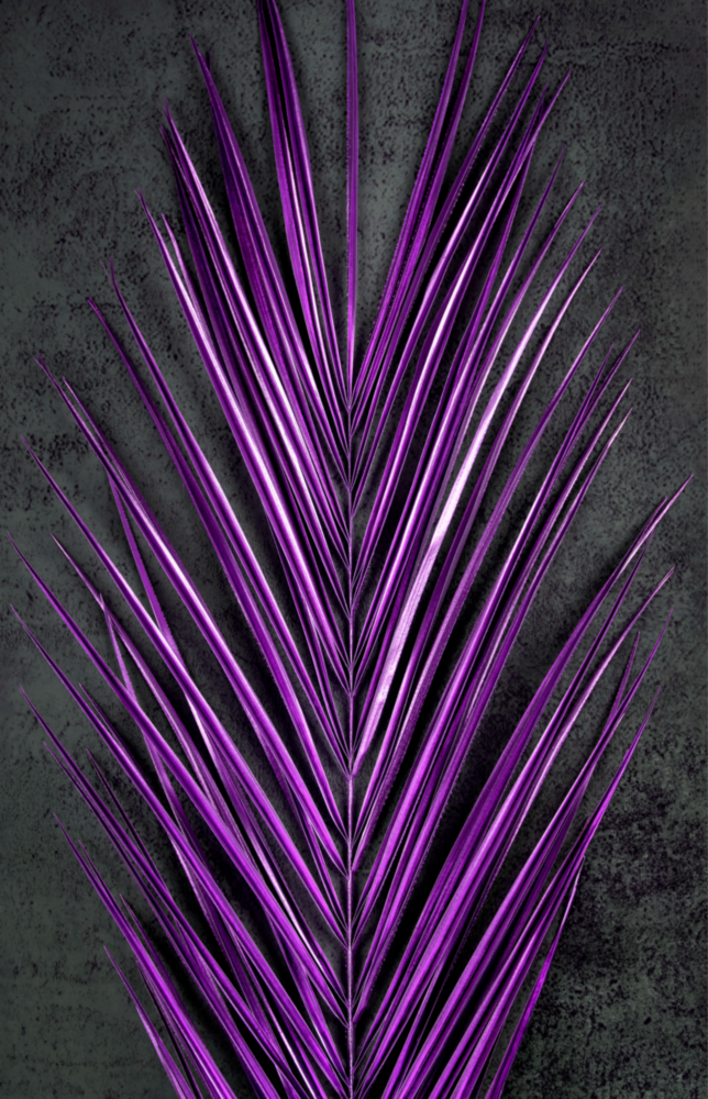 Areca Bunch Glass Wall Art