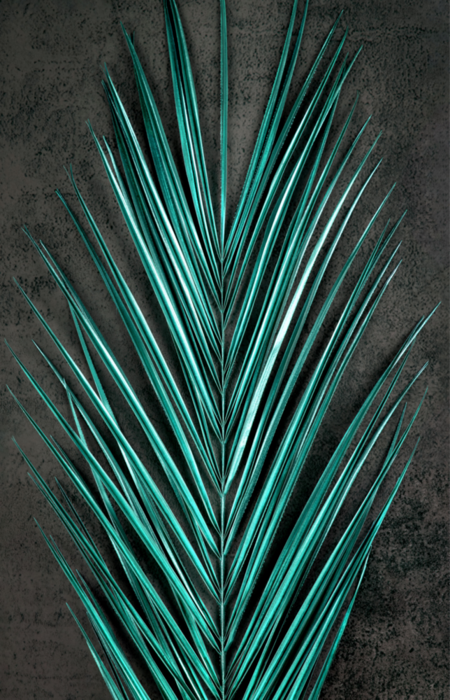 Areca Bunch Glass Wall Art